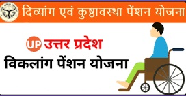 700 से अधिक दिव्यांगजनों को नहीं मिली पेंशन, फीकी रही दिवाली 700 से अधिक दिव्यांगजनों को नहीं मिली पेंशन, फीकी रही दिवाली