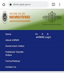 जिले के सैकड़ों राज्य कर्मचारियों ने मानव संपदा पोर्टल पर नहीं दिया संपत्ति का ब्योरा जिले के सैकड़ों राज्य कर्मचारियों ने मानव संपदा पोर्टल पर नहीं दिया संपत्ति का ब्योरा