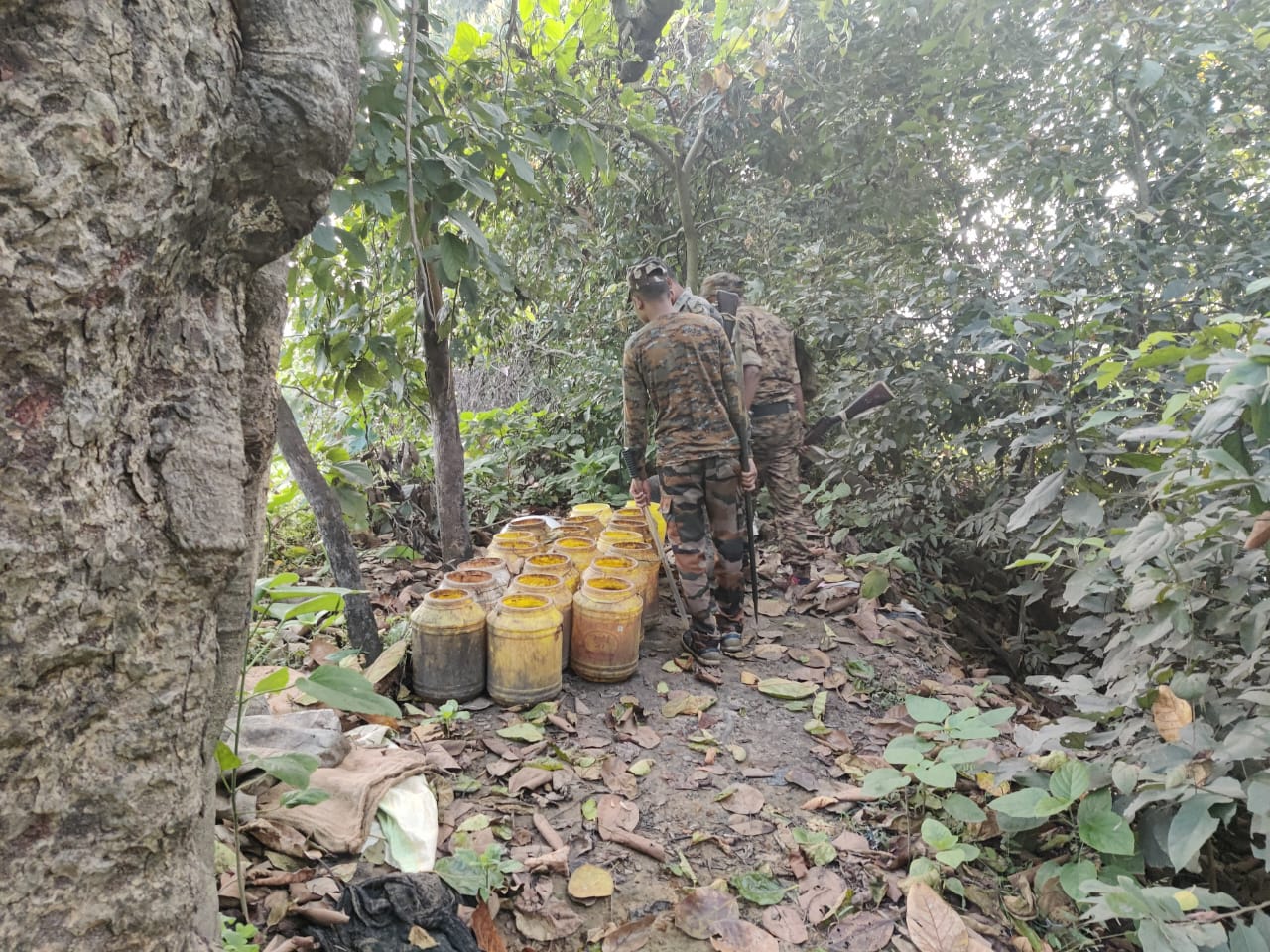 जप्त किया गया जावा महुआ जप्त किया गया जावा महुआ