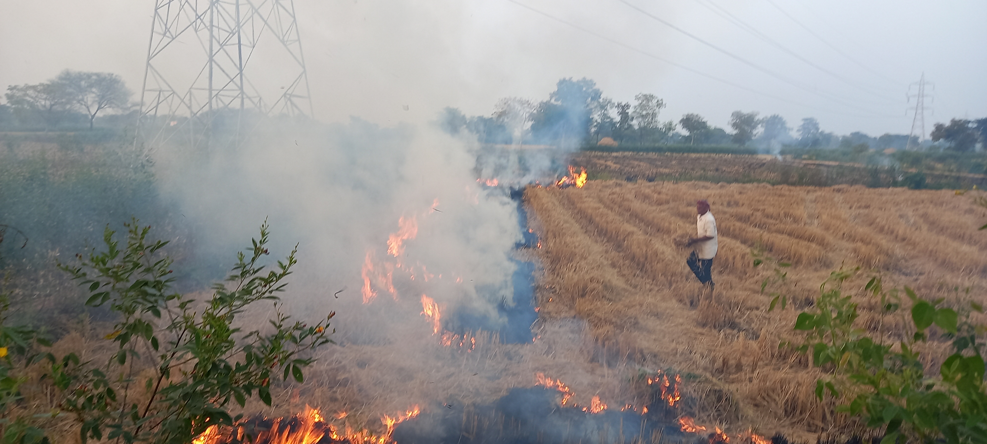 खेतों में फसल अवशेष जलाते हुए किसान। खेतों में फसल अवशेष जलाते हुए किसान।