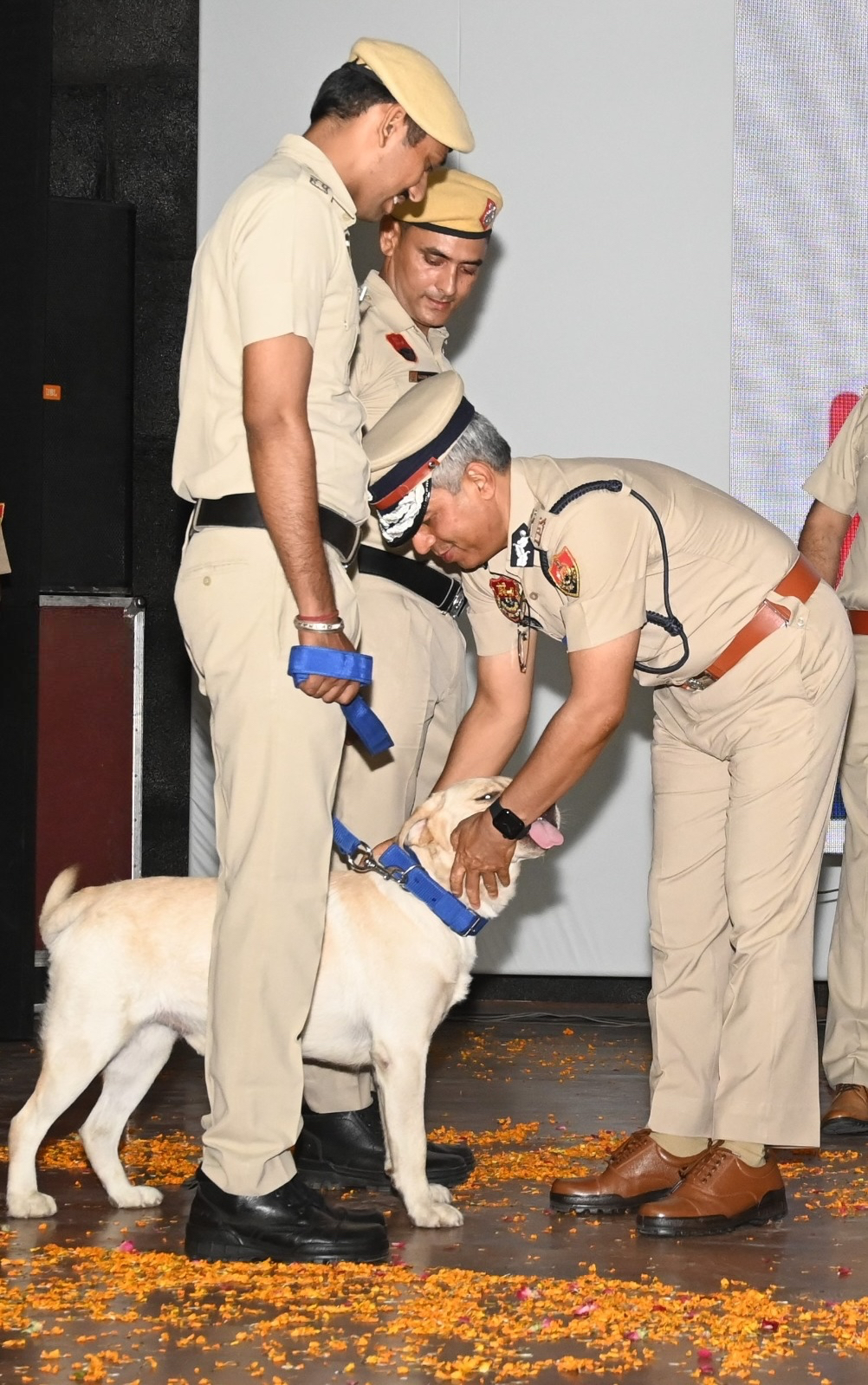 हरियाणा पुलिस महानिदेशक स्क्वायड में शामिल नए डाॅग काे दुलार करते हुए हरियाणा पुलिस महानिदेशक स्क्वायड में शामिल नए डाॅग काे दुलार करते हुए