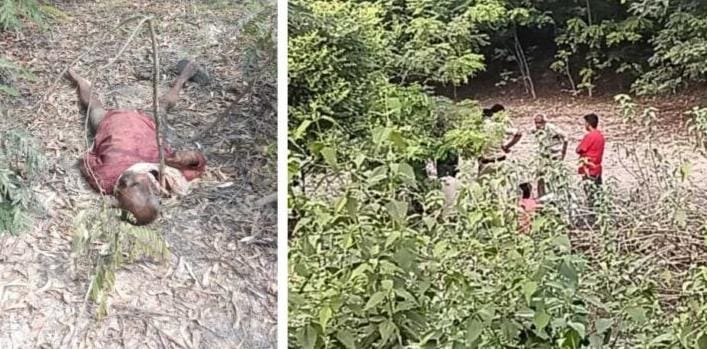 सर्वमंगला डंपिंग में बुजुर्ग व्यक्ति की मिली लाश, पुलिस पहुंची मौके पर सर्वमंगला डंपिंग में बुजुर्ग व्यक्ति की मिली लाश, पुलिस पहुंची मौके पर