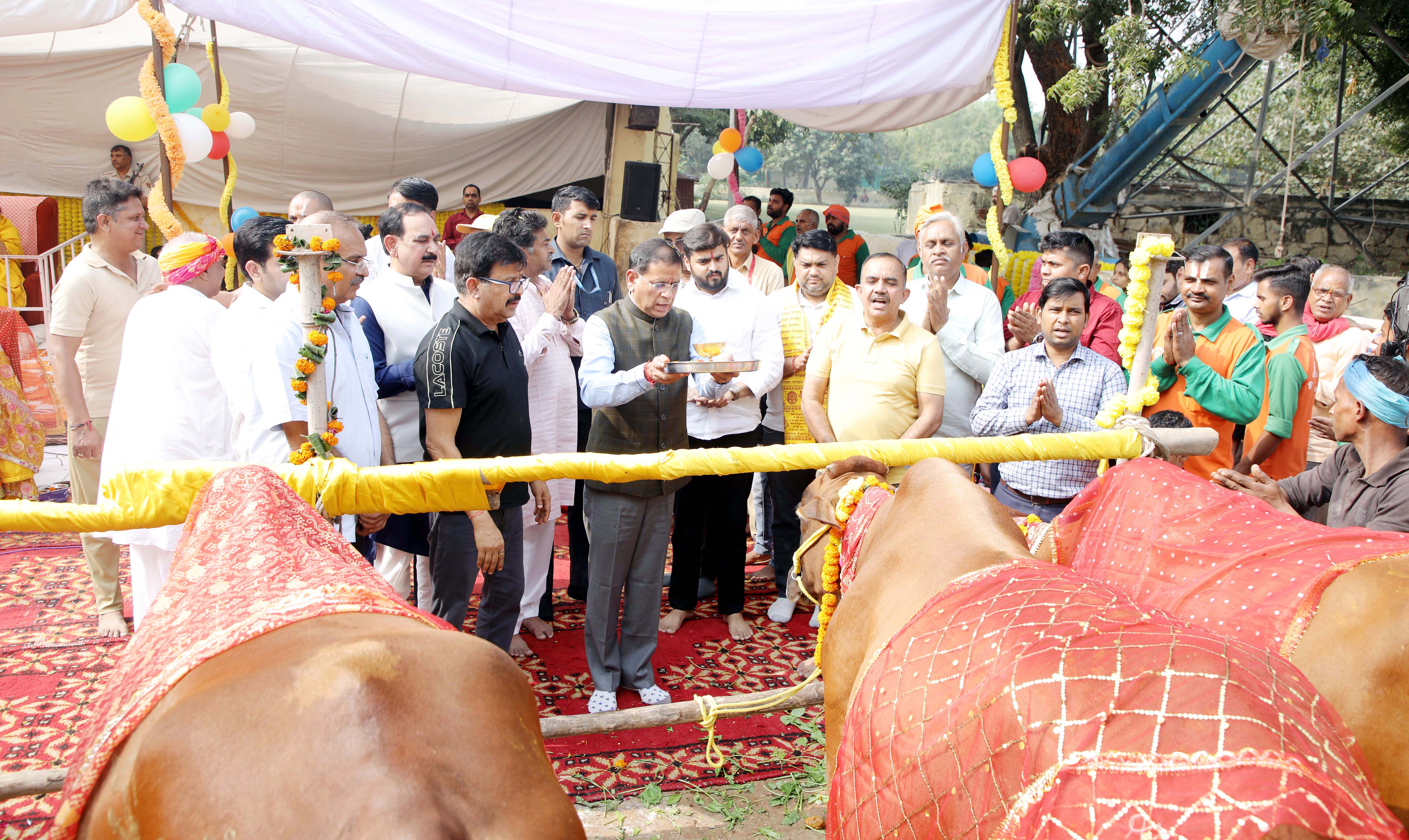 हरियाणा सरकार में राज्यमंत्री राजेश नागर गौ माता का पूजन करते हुए हरियाणा सरकार में राज्यमंत्री राजेश नागर गौ माता का पूजन करते हुए