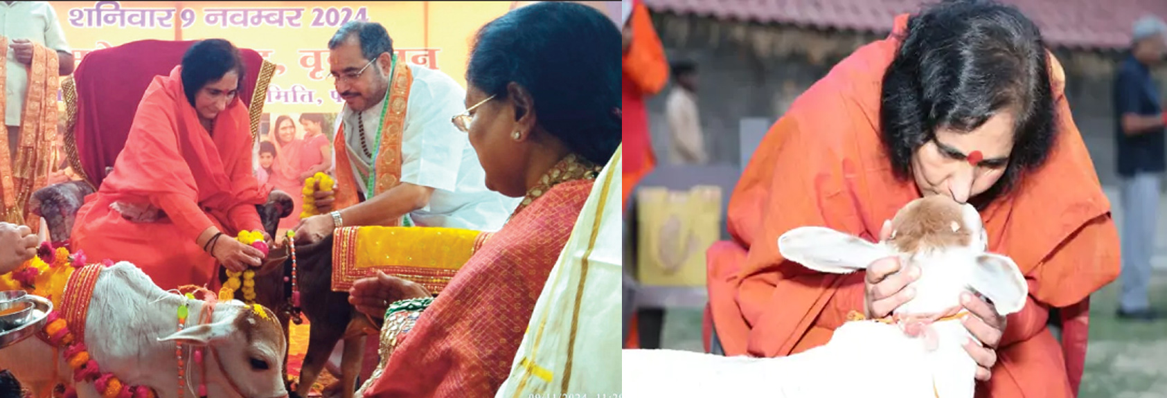 साध्वी ऋतंभरा दीदी गोपाष्टमी पर गाय की सेवा व दुलार करते हुए साध्वी ऋतंभरा दीदी गोपाष्टमी पर गाय की सेवा व दुलार करते हुए