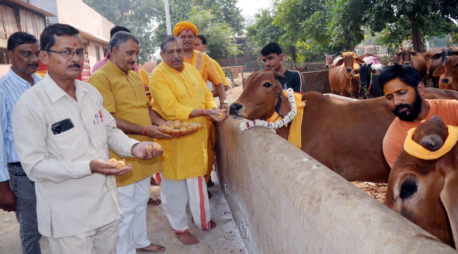 गौ सेवा करते हुए गोपेश्वरनाथ चतुर्वेदी गौ सेवा करते हुए गोपेश्वरनाथ चतुर्वेदी