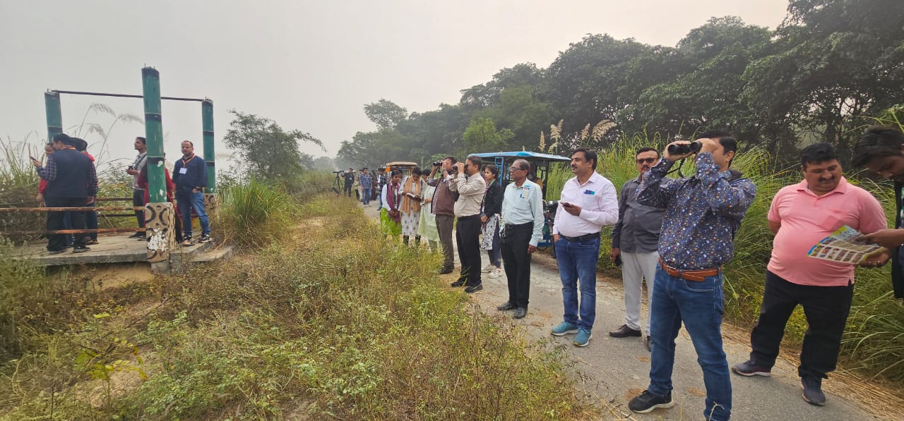 वैदरलैडं में पक्षियों को देखते हुए वैदरलैडं में पक्षियों को देखते हुए