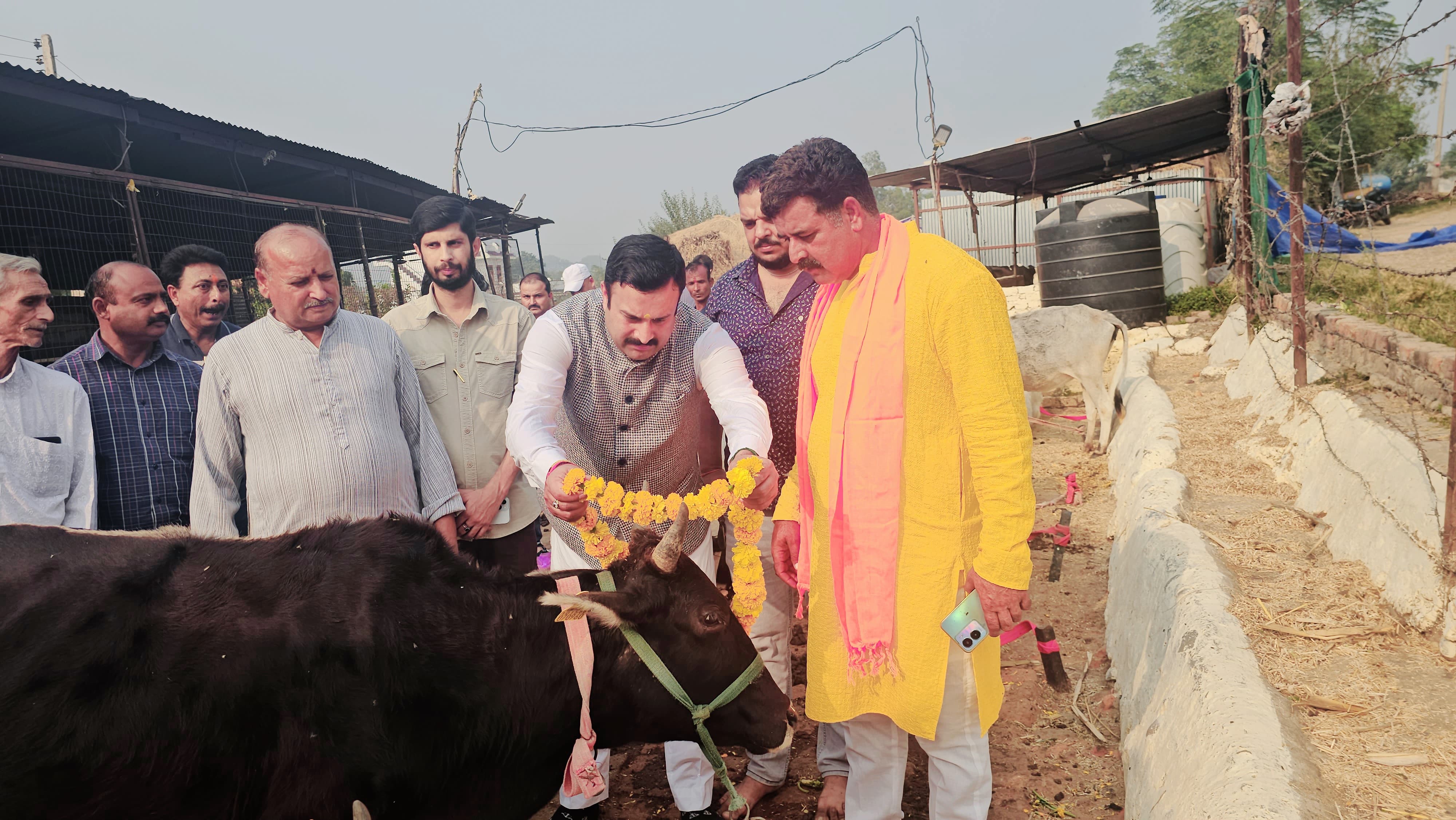 त्रिमूर्ति गौशाला में गोपाष्टमी पर हुआ भव्य कार्यक्रम त्रिमूर्ति गौशाला में गोपाष्टमी पर हुआ भव्य कार्यक्रम