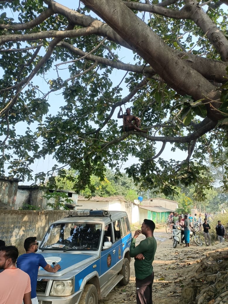 पेड़ पर आत्महत्या के लिए चढ़ा पेड़ पर आत्महत्या के लिए चढ़ा