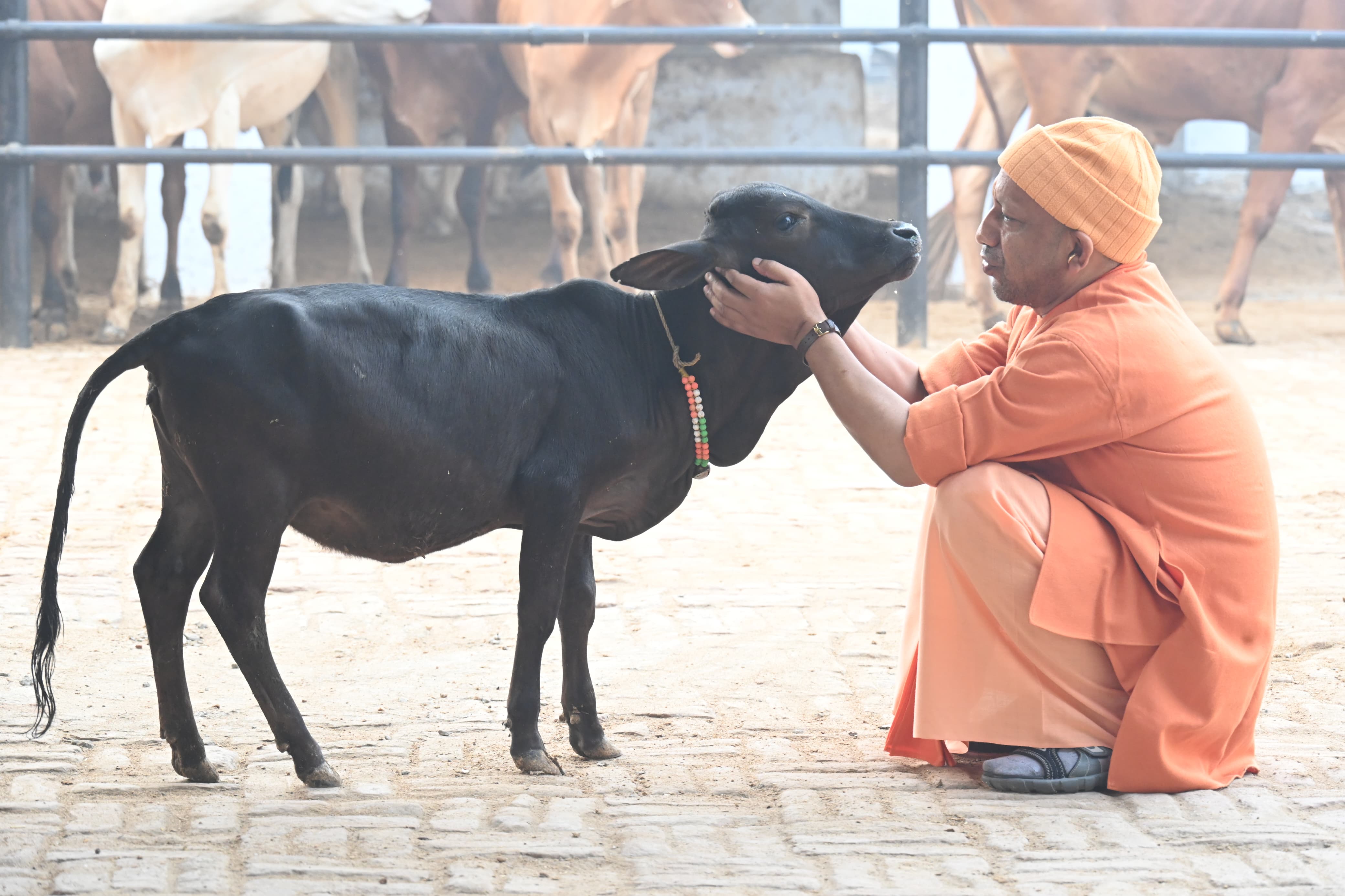 *जनता दर्शन में गंभीर बीमारियों के इलाज के लिए मदद मांगने आए लोगों को मुख्यमंत्री ने दिया भरोसा*