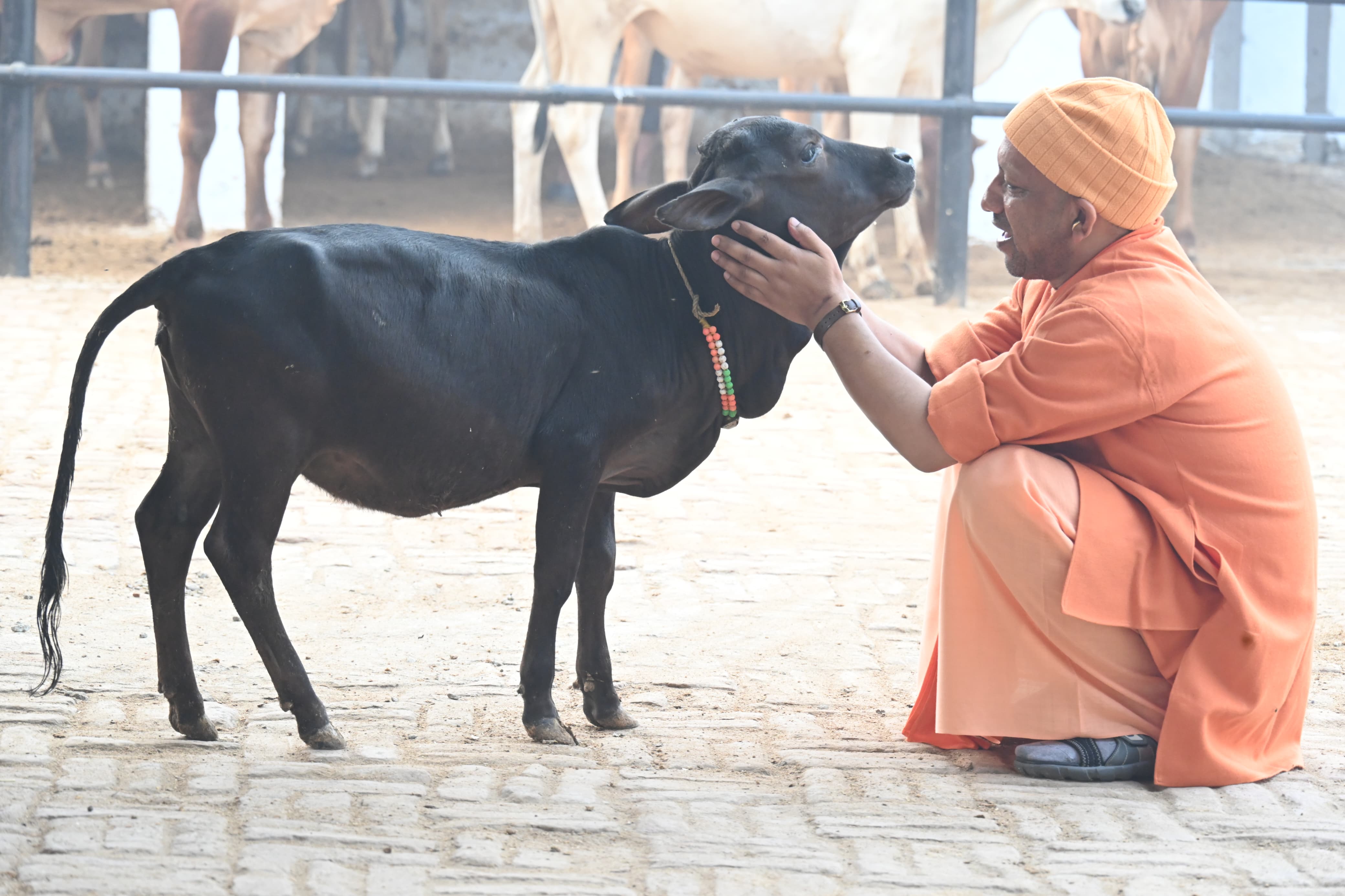 *जनता दर्शन में गंभीर बीमारियों के इलाज के लिए मदद मांगने आए लोगों को मुख्यमंत्री ने दिया भरोसा*