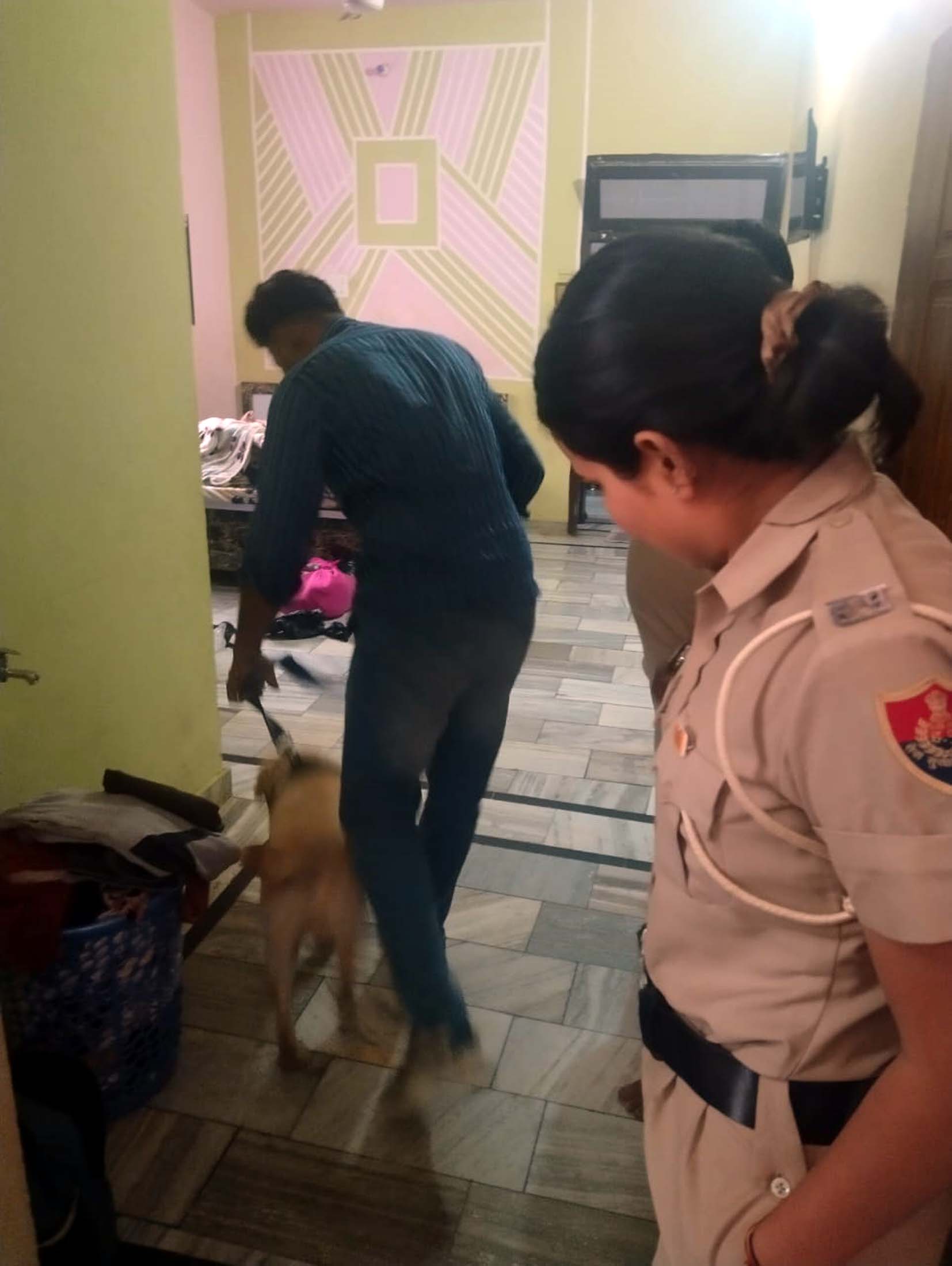 पाबड़ा में सर्च अभियान चलाते पुलिस। पाबड़ा में सर्च अभियान चलाते पुलिस।
