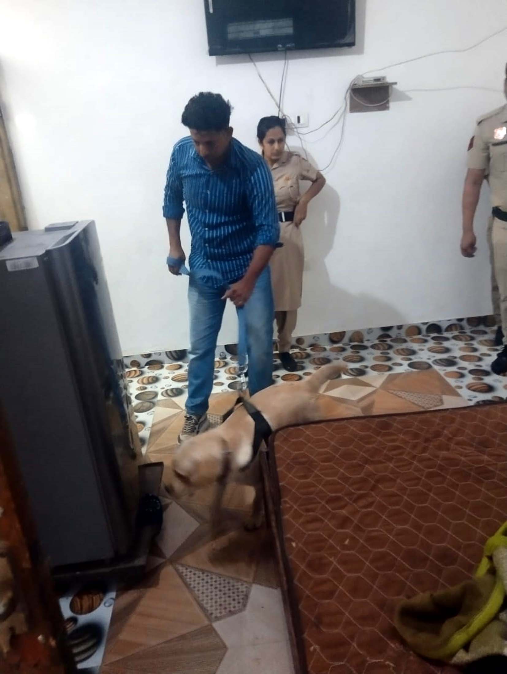 पाबड़ा में सर्च अभियान चलाते पुलिस। पाबड़ा में सर्च अभियान चलाते पुलिस।