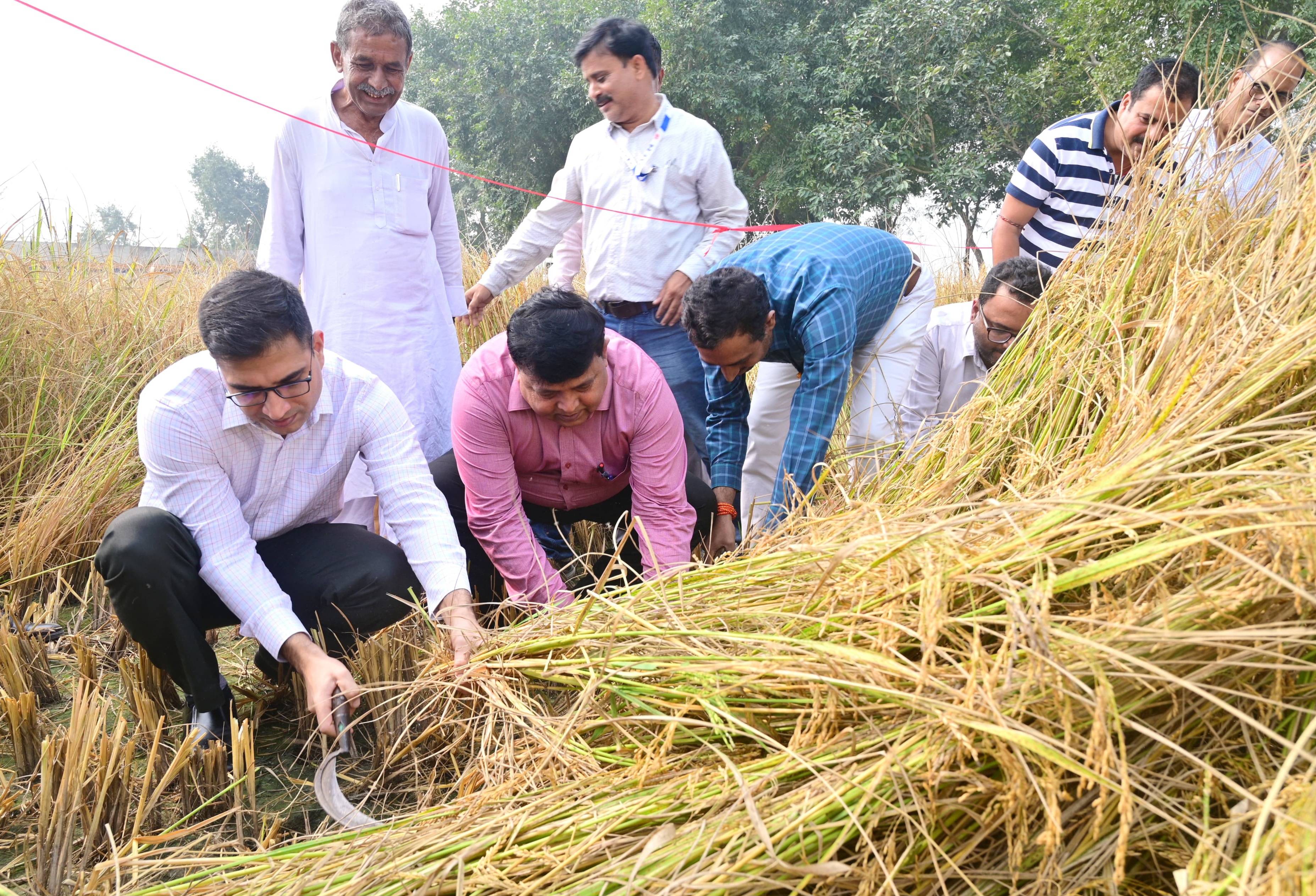 क्राॅप कटिग करते डीएम क्राॅप कटिग करते डीएम