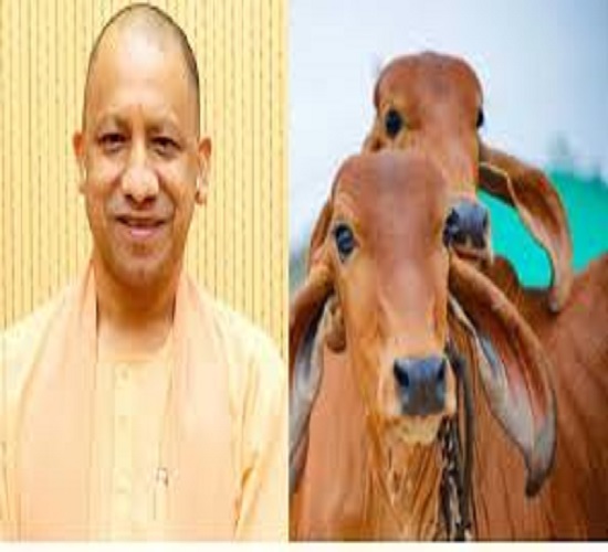 कानपुर: मिनी नंदिनी कृषक समृद्धि योजना का प्रतीकात्मक छाया चित्र कानपुर: मिनी नंदिनी कृषक समृद्धि योजना का प्रतीकात्मक छाया चित्र