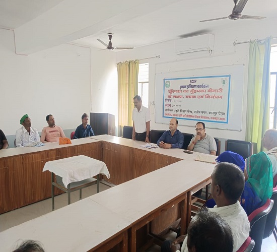 सीएसए में दो दिवसीय प्रशिक्षण समापन कार्यकम्र में जानकारी देते हुए डॉ.शशिकांत का छाया चित्र सीएसए में दो दिवसीय प्रशिक्षण समापन कार्यकम्र में जानकारी देते हुए डॉ.शशिकांत का छाया चित्र