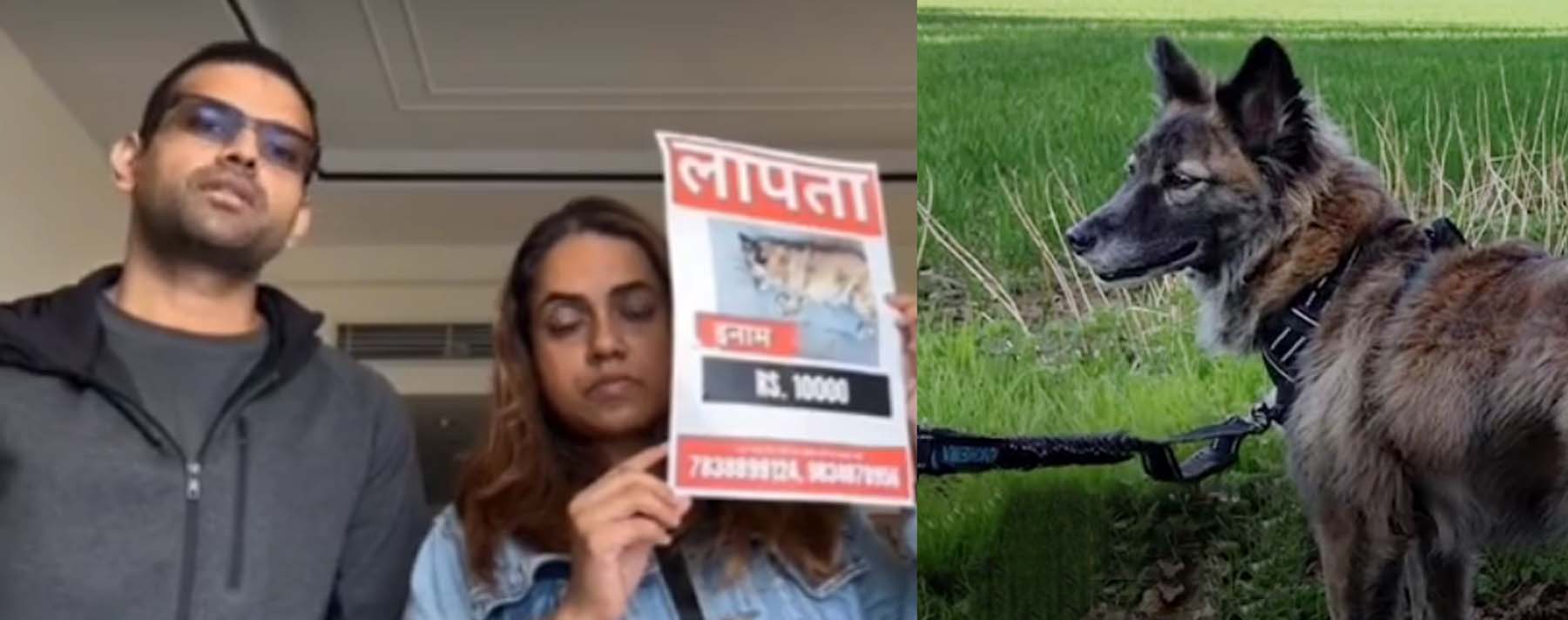 फोटो नंबर-01: गुम हुए डॉगी की तस्वीर दिखाता दंपत्ति व उनका गुम हुए डॉगी की तस्वीर। फोटो नंबर-01: गुम हुए डॉगी की तस्वीर दिखाता दंपत्ति व उनका गुम हुए डॉगी की तस्वीर।