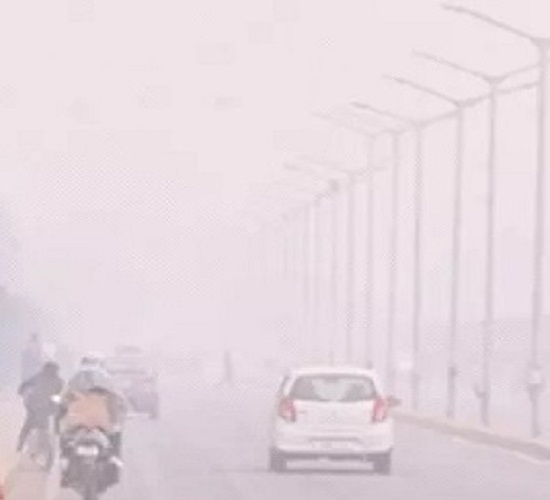 ठंड का दिखा असर,कोहरे की प्रतीकात्मक छाया चित्र