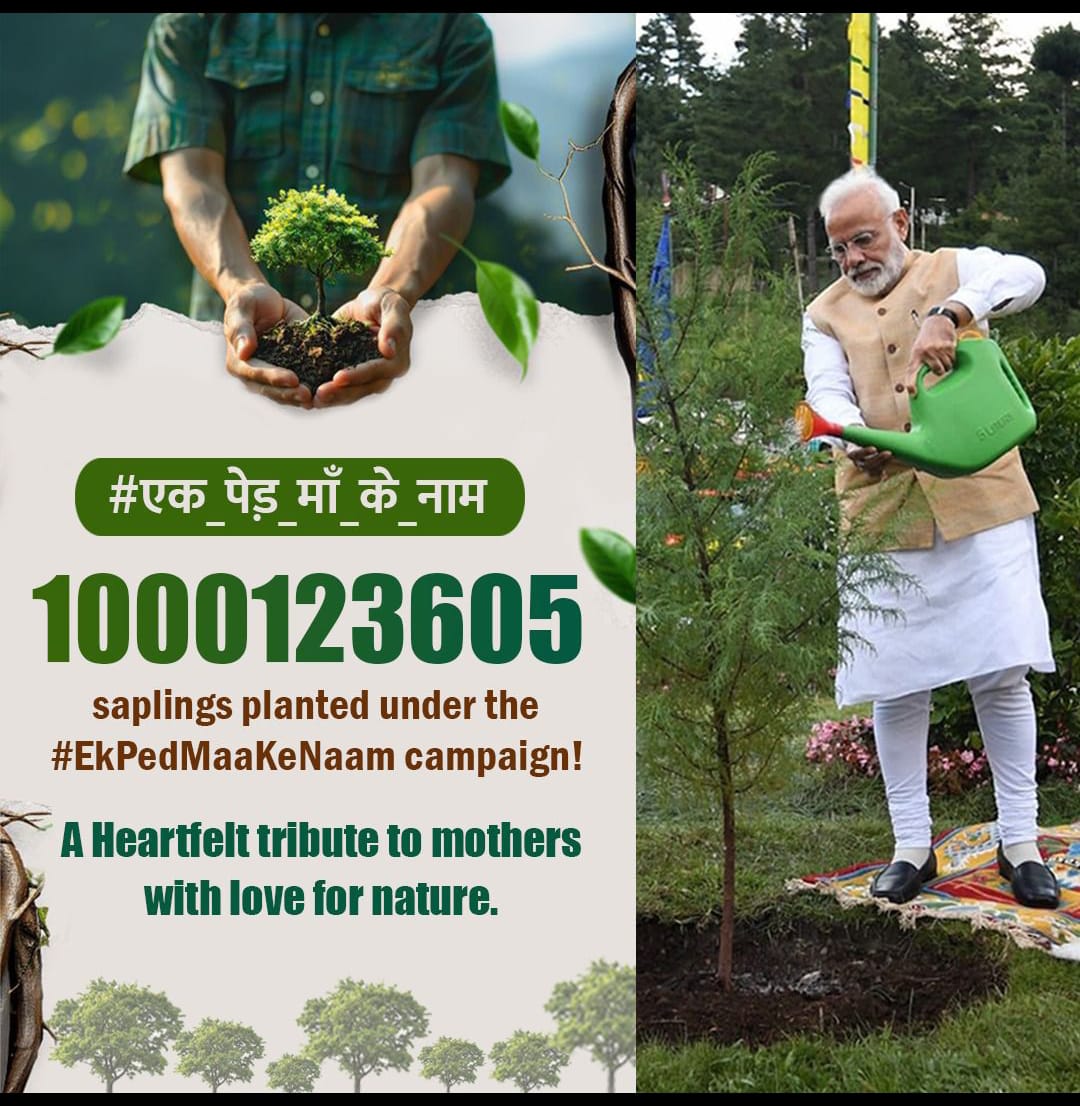 एक पेड़ मां के नाम के तहत लगाए गए पेड़ों की संख्या का पोस्टर एक पेड़ मां के नाम के तहत लगाए गए पेड़ों की संख्या का पोस्टर