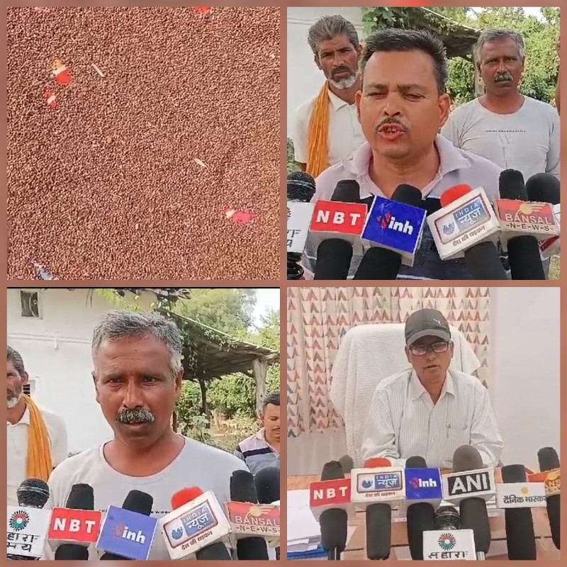 प्रधानमंत्री की श्री अन्न मिलेट्स योजना पर हाथियों की मौत का ग्रहण प्रधानमंत्री की श्री अन्न मिलेट्स योजना पर हाथियों की मौत का ग्रहण