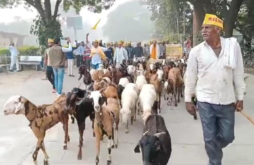 आंदोलन करते धनगर समाज के लोग आंदोलन करते धनगर समाज के लोग