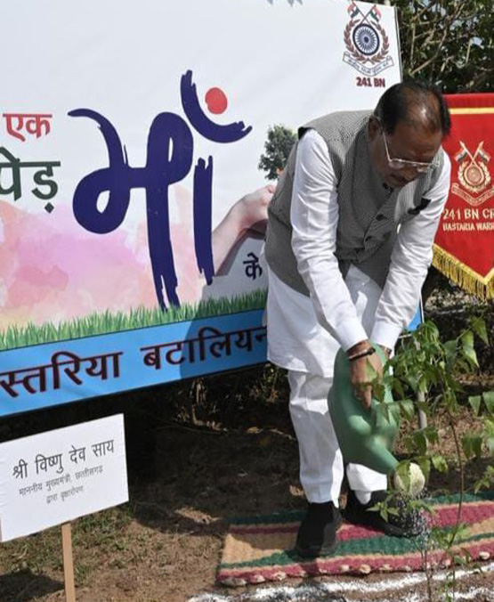 मुख्यमंत्री ने लगाया पौधा मुख्यमंत्री ने लगाया पौधा