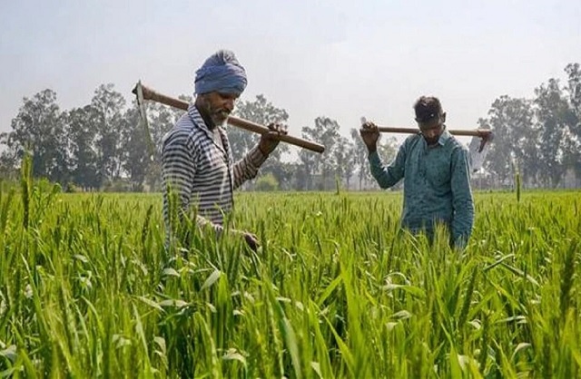 मुख्यमंत्री ने किया किसानों के लिए बड़ी घोषणा मुख्यमंत्री ने किया किसानों के लिए बड़ी घोषणा