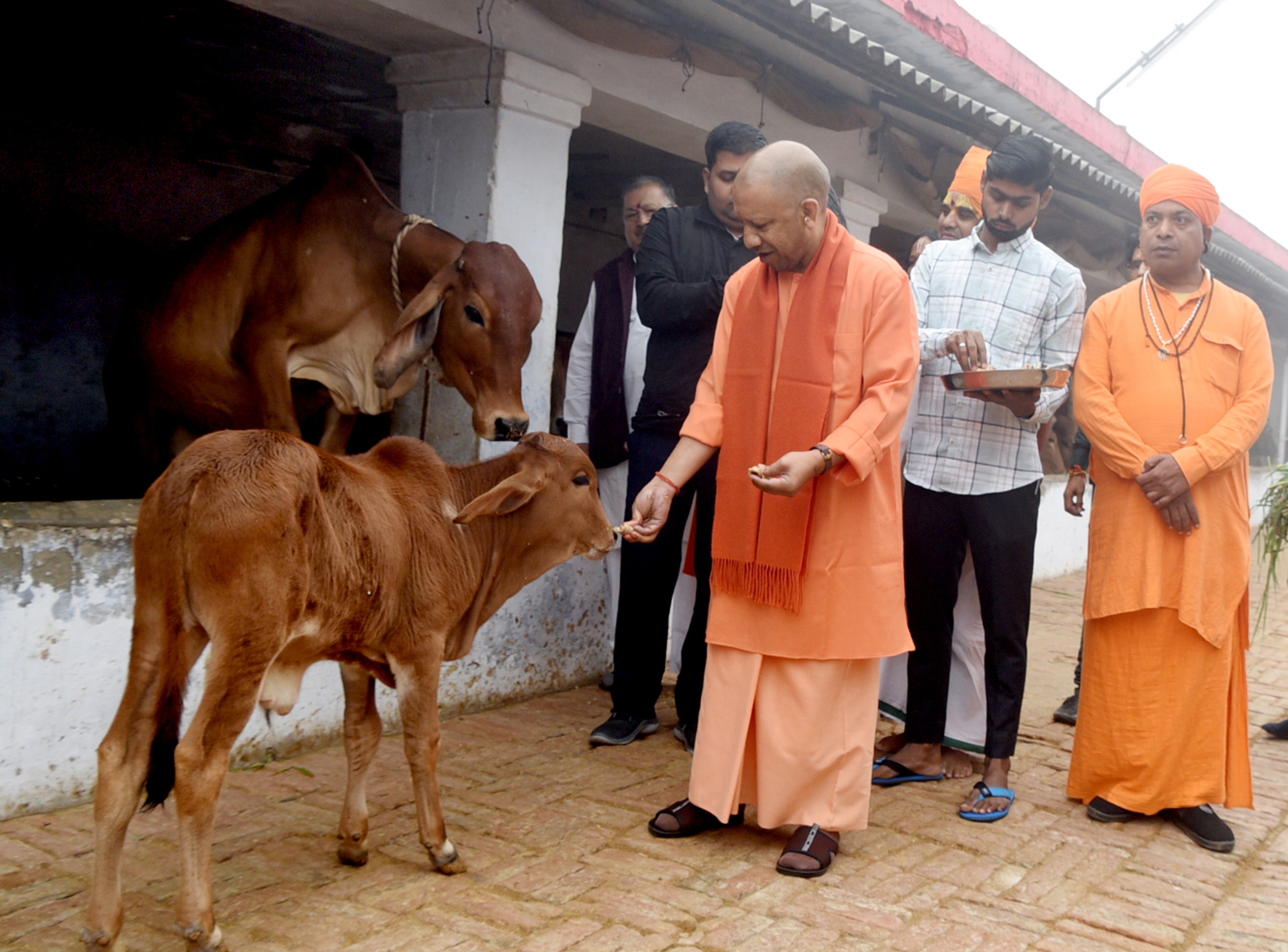Gau seva karte cm Gau seva karte cm