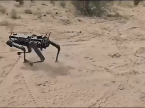 रोबोटिक डॉग्स रोबोटिक डॉग्स