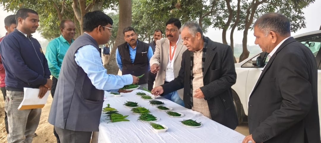 केन्द्रीय मंत्री वाराणसी सब्जी अनुसन्धान संस्थान में केन्द्रीय मंत्री वाराणसी सब्जी अनुसन्धान संस्थान में