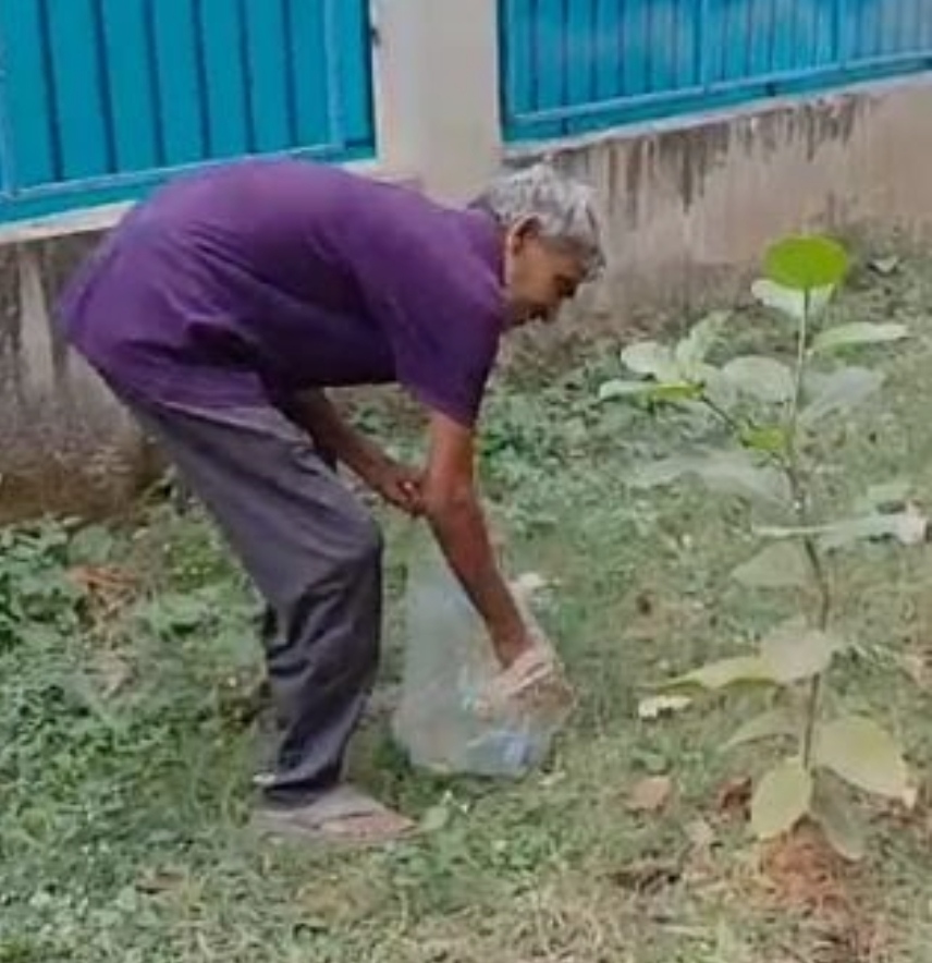 पौधा लगाते विनय सिंह पौधा लगाते विनय सिंह