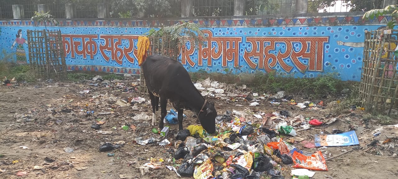 नगर निगम हड़ताल नगर निगम हड़ताल