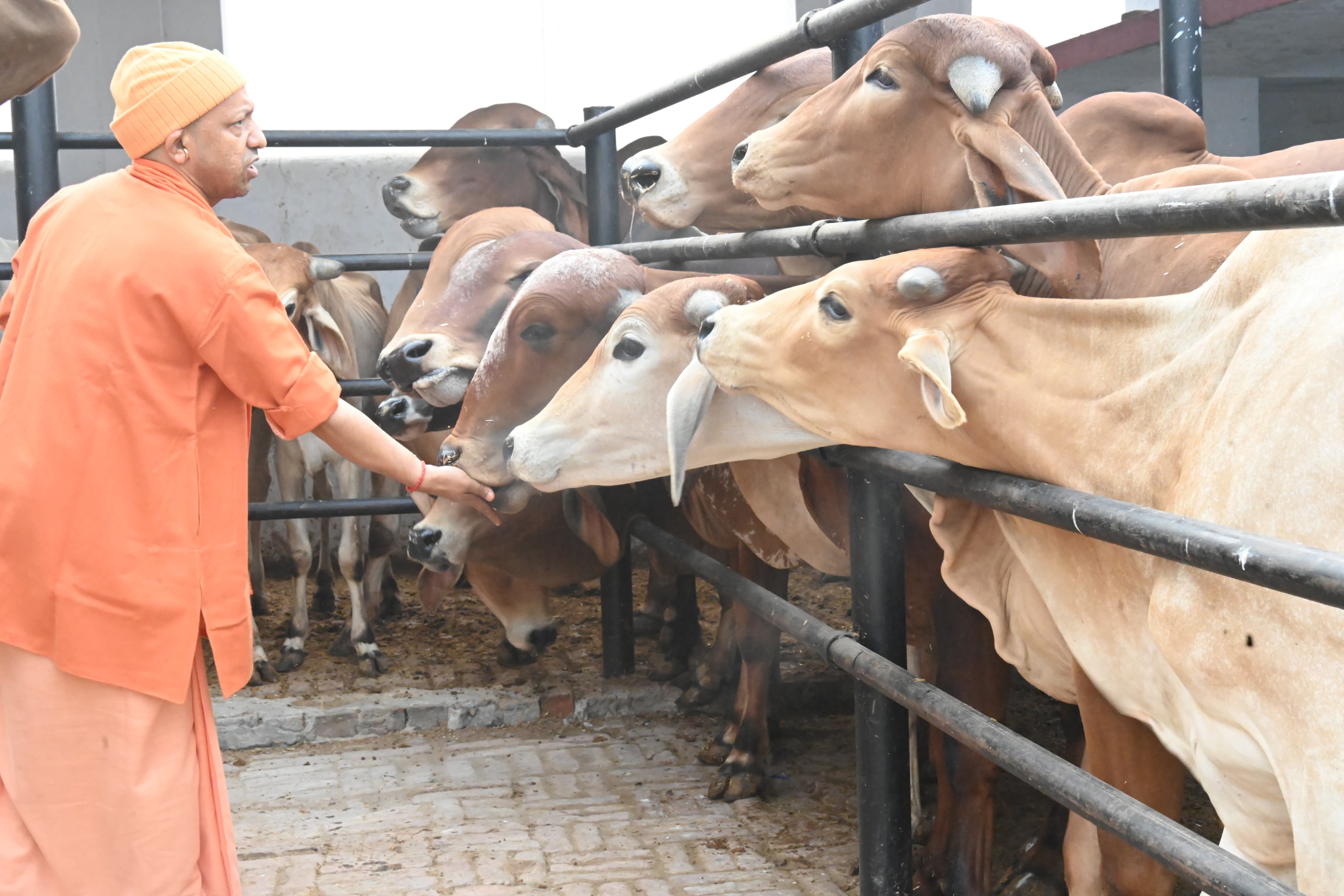 *जनता दर्शन में मुख्यमंत्री योगी आदित्यनाथ ने सुनीं 300 लोगों की समस्याएं* *जनता दर्शन में मुख्यमंत्री योगी आदित्यनाथ ने सुनीं 300 लोगों की समस्याएं*