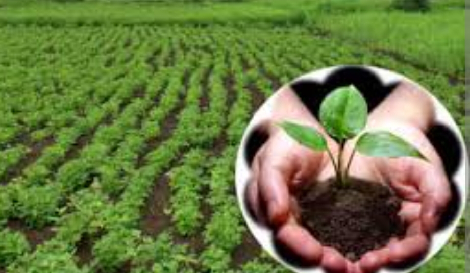 Cabinet natural farming mission Cabinet natural farming mission