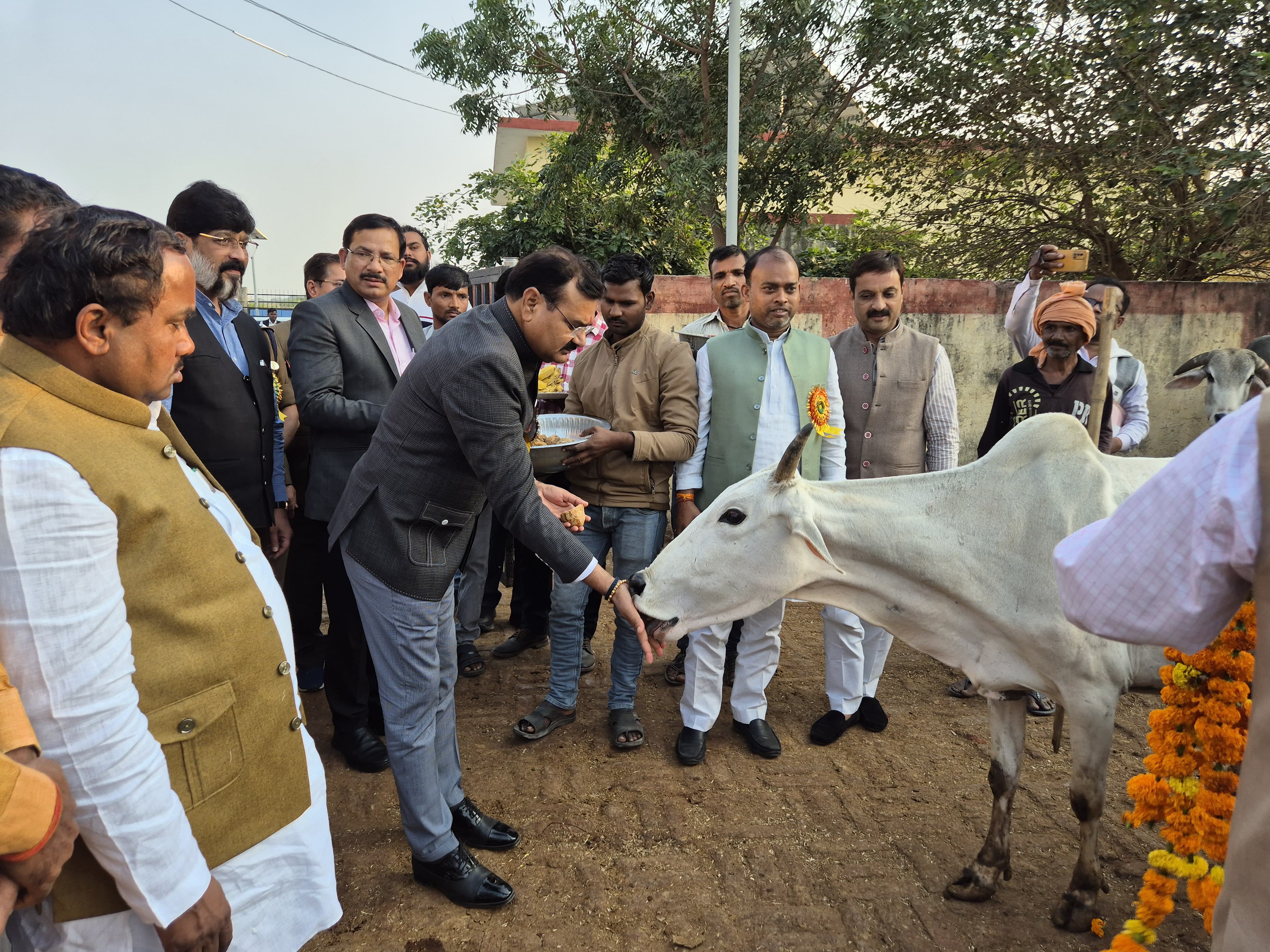 गौशाला निरीक्षण गौशाला निरीक्षण