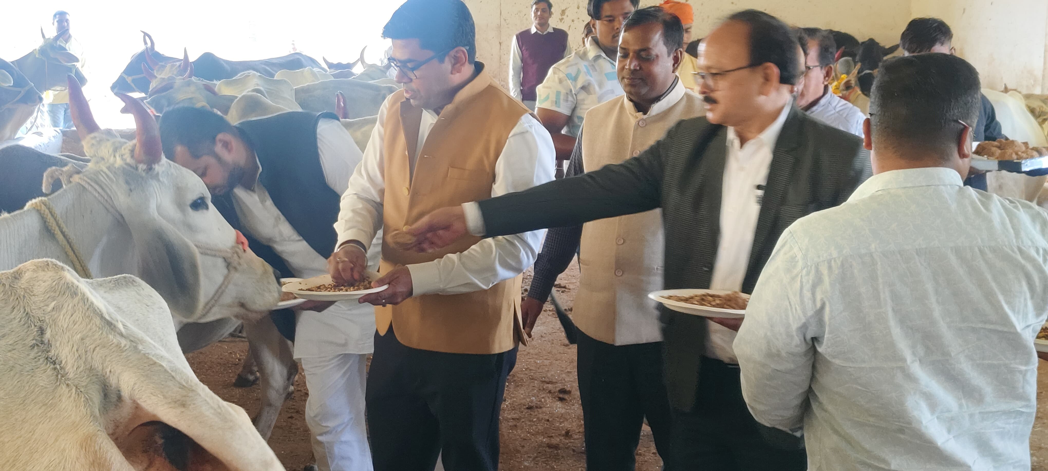 डीएम की अनूंठी पहलः गौवंश के लिए गुड़ बैंक का किया शुभारंभ डीएम की अनूंठी पहलः गौवंश के लिए गुड़ बैंक का किया शुभारंभ