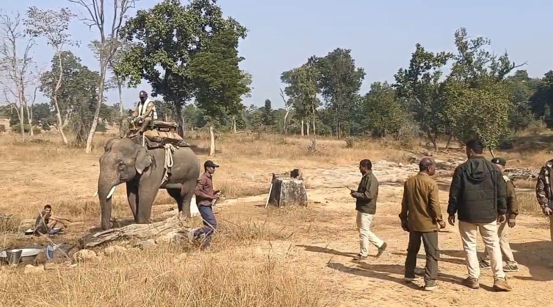 बाघ के रेस्क्यू में जुटी टाइगर रिजर्व की टीम बाघ के रेस्क्यू में जुटी टाइगर रिजर्व की टीम