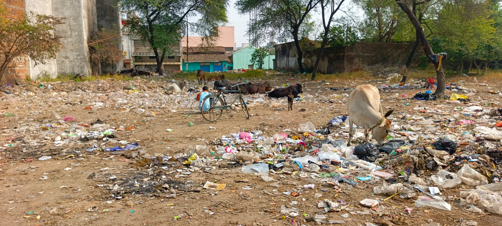 रत्नाबांधा चौक के पास फैला हुआ है कचरा। रत्नाबांधा चौक के पास फैला हुआ है कचरा।