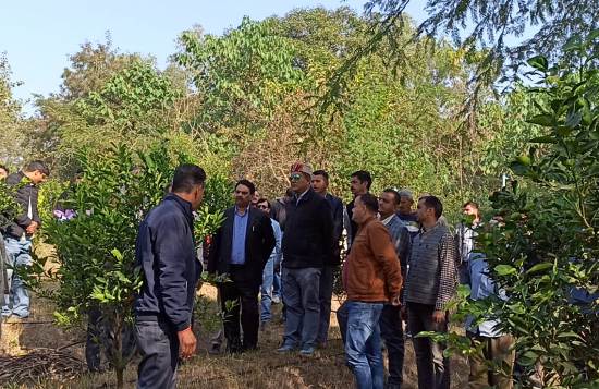 एचपीशिवा परियोजना के तहत लगाए मौसम्बी के बागीचों के निरीक्षण के दौरान बागवानी मंत्री जगत सिंह नेगी एचपीशिवा परियोजना के तहत लगाए मौसम्बी के बागीचों के निरीक्षण के दौरान बागवानी मंत्री जगत सिंह नेगी