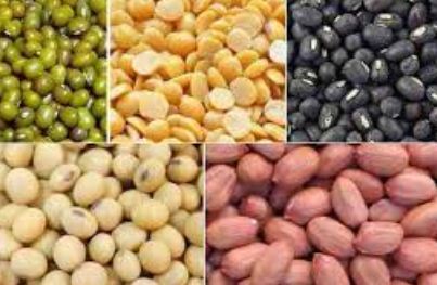 फाइल फोटो दलहन तिलहन
