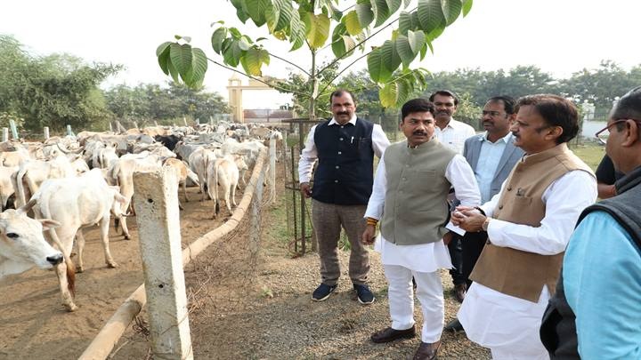 वन्य विहार की व्यवस्थाओं का अवलोकन वन्य विहार की व्यवस्थाओं का अवलोकन