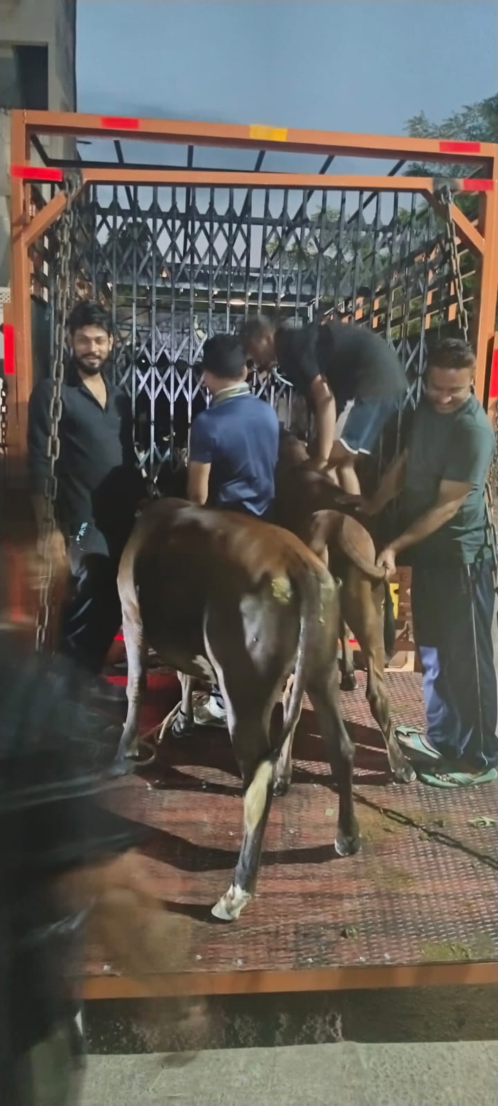 डेयरी डेयरी