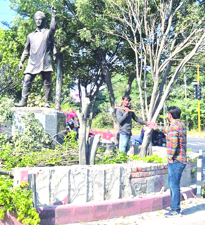 काटे जा रहे पेड़ काटे जा रहे पेड़