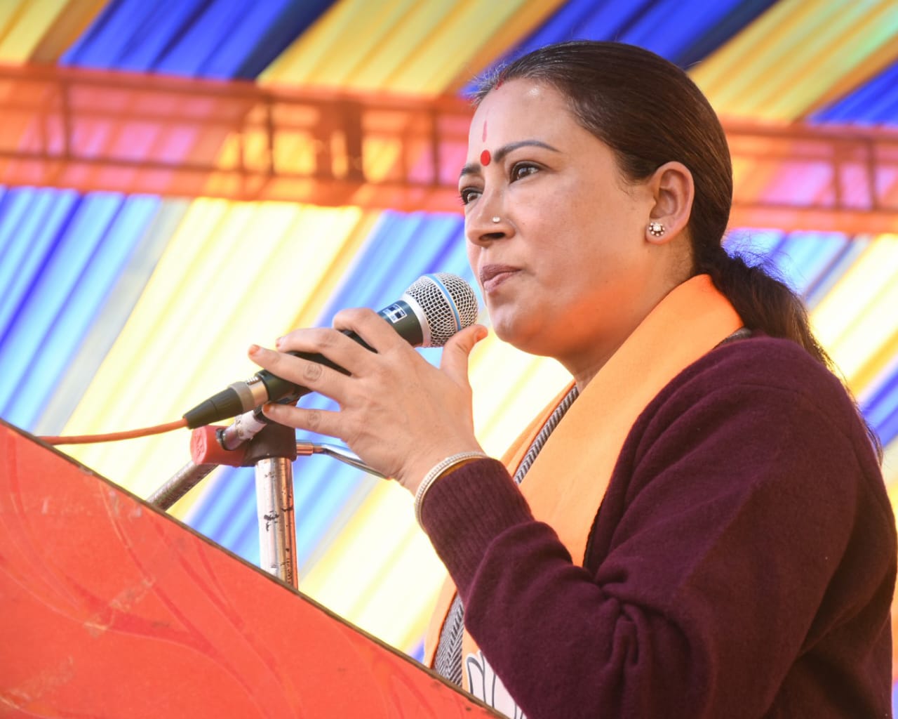 अनुसूचित जाति स्वाभिमान सम्मेलन में जनता को संबोधित करती कैबिनेट मंत्री रेखा आर्य। अनुसूचित जाति स्वाभिमान सम्मेलन में जनता को संबोधित करती कैबिनेट मंत्री रेखा आर्य।