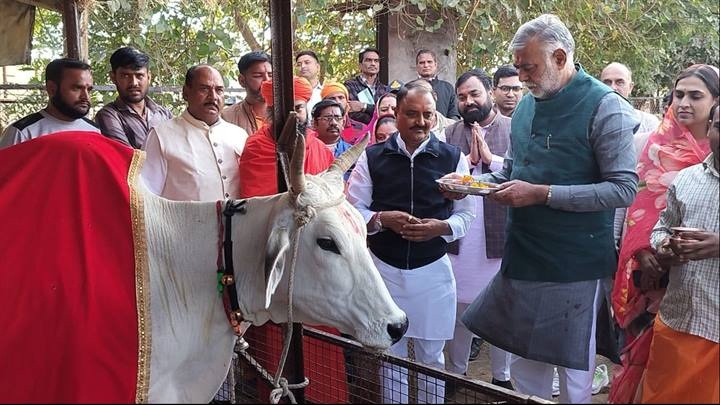 चायत एवं ग्रामीण विकास मंत्री ने लिया आदर्श गौशाला लाल टिपारा का जायजा चायत एवं ग्रामीण विकास मंत्री ने लिया आदर्श गौशाला लाल टिपारा का जायजा
