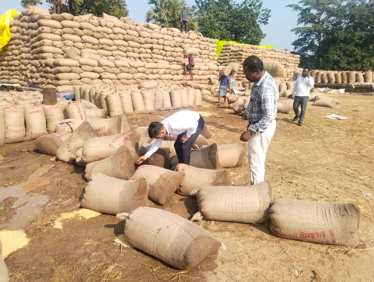 सुकमा: बारिश में धान खरीदी केंद्र की खुली पोल छिंदगढ़ धान खरीदी केंद्र में अवस्था का आलम के कारण भीगा धान