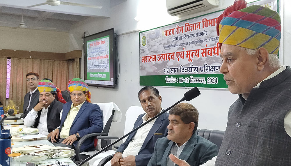 प्रोटीन से भरपूर बहुत बढ़िया चीज मशरुम की मार्केट में खूब डिमांड, छोटे स्तर से ही इसके उत्पादन की कर दें शुरुआत प्रोटीन से भरपूर बहुत बढ़िया चीज मशरुम की मार्केट में खूब डिमांड, छोटे स्तर से ही इसके उत्पादन की कर दें शुरुआत