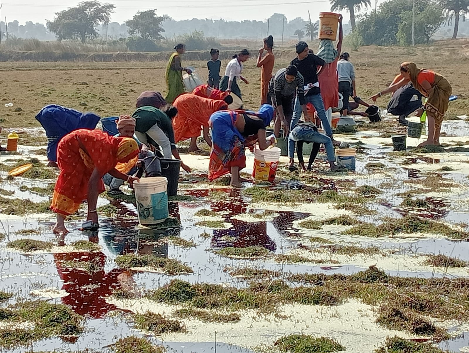 ऑयल लूटते ग्रामीण ऑयल लूटते ग्रामीण