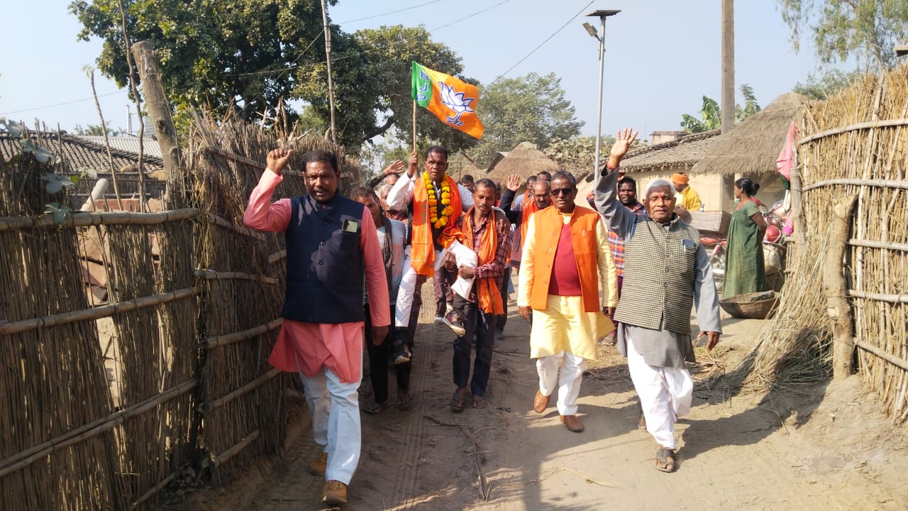 संगठन संगठन