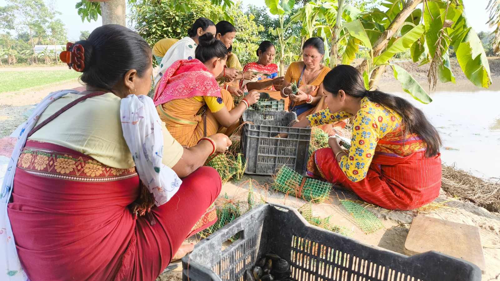 बीटीसी ने मत्स्य पालन को किया सशक्त बीटीआर में 5000 मोती शिंपलियां वितरित । बीटीसी ने मत्स्य पालन को किया सशक्त बीटीआर में 5000 मोती शिंपलियां वितरित ।