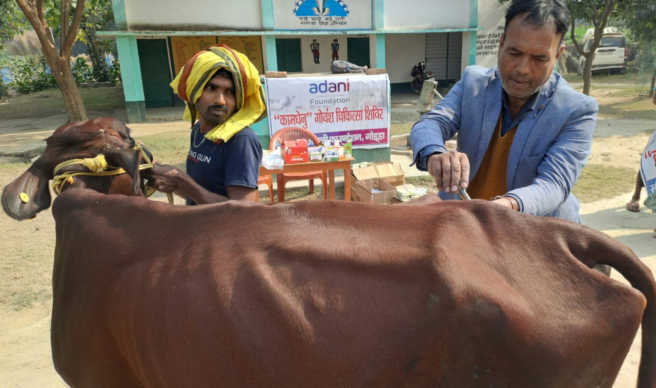 जांच करते चिकित्सक जांच करते चिकित्सक